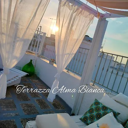 Terrazza Alma Bianca Apartment *